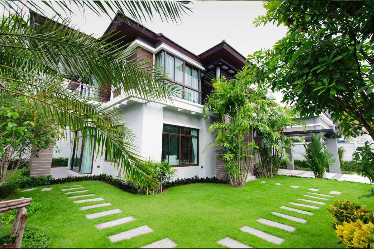 A decoração com plantas é uma maneira simples e acessível de transformar os ambientes da casa em espaços acolhedores e cheios de vida.